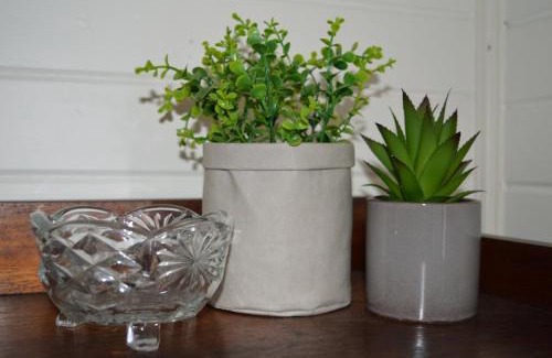 West Launceston Bed & Breakfast | The Dragonfly Inn