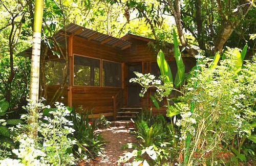San Ignacio House | The Explorers Rest perfect for families or travelers -Welcome to Our Jungle