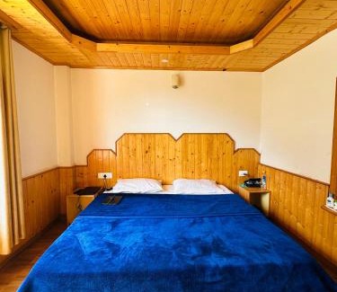 Manali Hotel | The Fernovo Stays - Barod