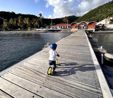 Bellefontaine House | The fisher house