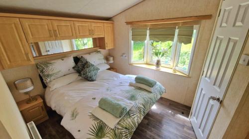 Brynteg House | The Fly Orchid