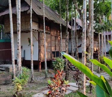Havelock Island Cabin | The Forest Elephant - Formerly known as the Flying Elephant