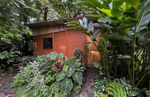 Penas Blancas Apartment | The frog house