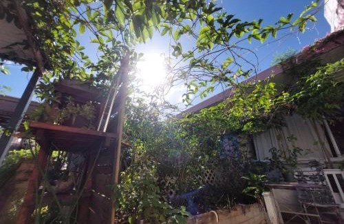 Pointe-a-Pitre Hostel | The GREEN Hostel NO NEW RESERVATION til 0725