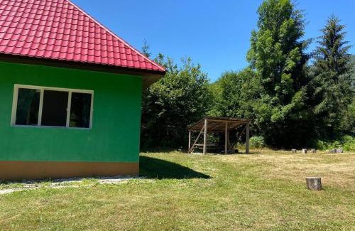 Pietroasa House | The Green House - Apuseni Mountains