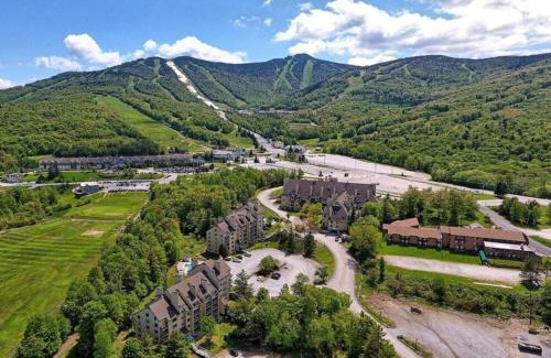 Killington House | The Grizz AC Pool Sauna Gym Near Resort