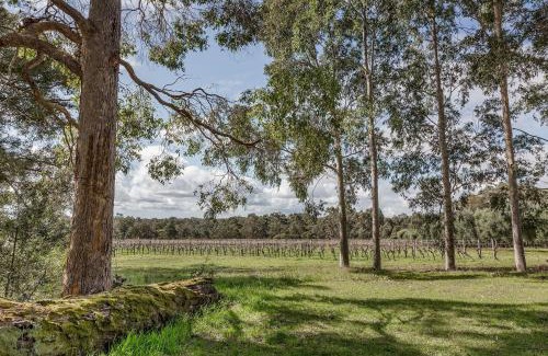 Wilyabrup Apartment | The Grove Distillery & Brewery