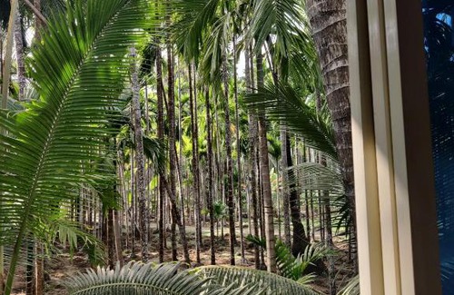 Alibaug Bed & Breakfast | The Gunjal's Home Stay