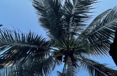 Alibaug Bed & Breakfast | The Gunjal's Home Stay