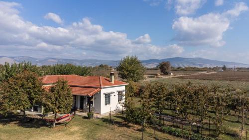 Trikala House | The Hobbit Hole