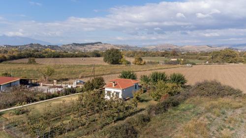 Trikala House | The Hobbit Hole