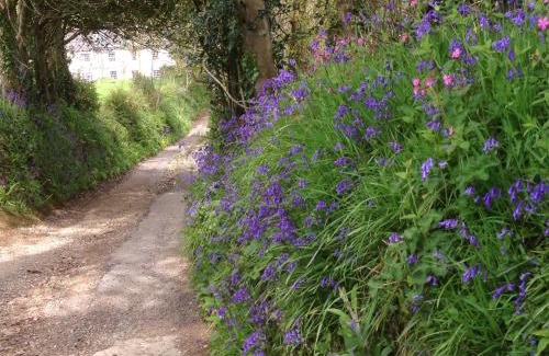 Truro House | The Home Barn at Cornish Barn Holidays