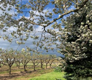 Niagara-on-the-Lake Bed & Breakfast | The House of Elsie Bed and Breakfast