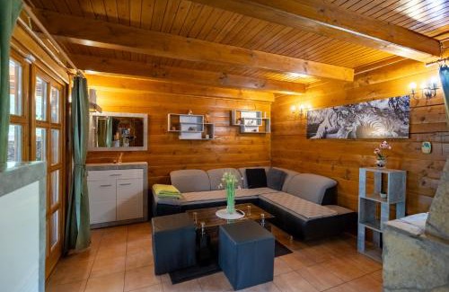 Gyomaendrod House | The Körös Cabin