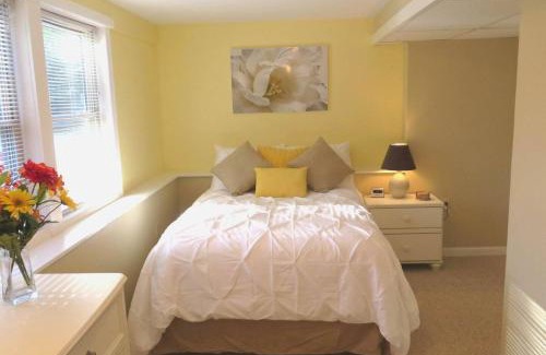 Chestertown House | The Lily Pad at Loon Lake near Gore Mountain