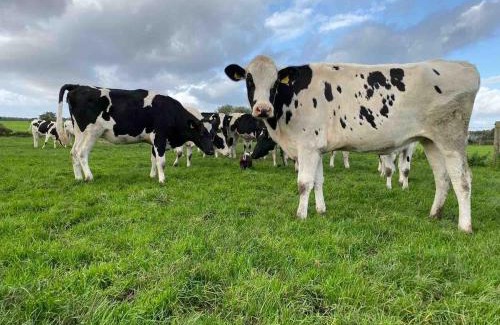 Wesham Villa | The Lodge at Greenbank Farm