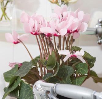 Mooirivier Villa | The Loop Farmhouse Mooi River