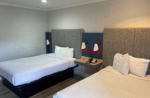 Central Sacramento Hotel | The Midtowner Hotel, SureStay Collection by Best Western