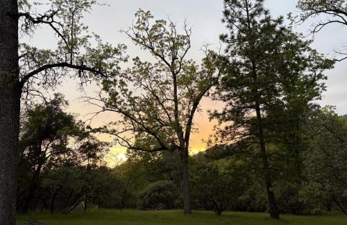 Ahwahnee House | The Mountains are Calling - Private, Guesthouse Retreat near Yosemite