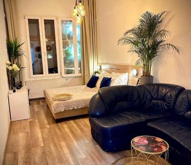 Erzsebetvaros Apartment | The Nest Inn Budapest -Studio with AC