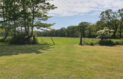 New Forest District House | The New Forest Manor Apartment