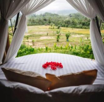 Selat Villa | The Nude House