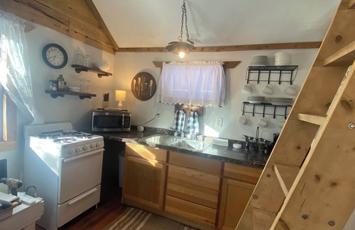 Bigfork Cabin | The Nun's Cabin: Historic Tiny House on the Bigfork River