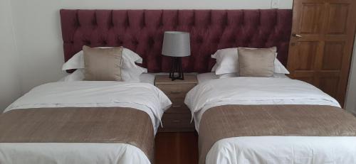 Greater Johannesburg Metropolitan Area House | The Observatory, Luxury Suite in Observatory Home