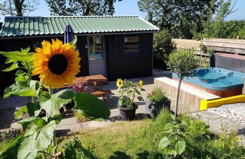 Newquay Apartment | The Old Potting Shed with hot tub. Colan, Newquay.