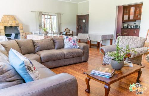 Alkmaar House | The Orange Tree Guest House