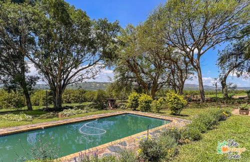 Alkmaar House | The Orange Tree Guest House