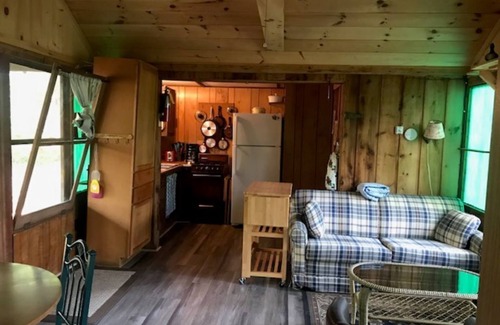 Boulder Junction Cabin | (The Pad) Rustic 2 bedroom cabin on Nichols Lake