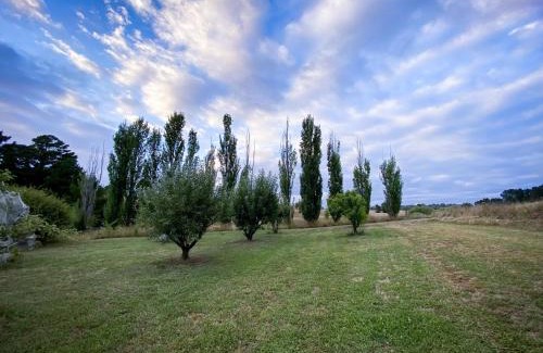 Bywong House | The Pine Tree Cottage - Charming cottage close to Canberra