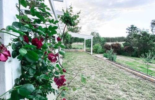 Bywong House | The Pine Tree Cottage - Charming cottage close to Canberra