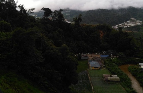 Kampung Raja Hotel | The Pines Hotel