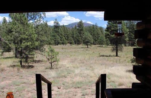 Jemez Springs Cabin | 'The Pines' Is The Perfect Log Cabin Getaway In The Beautiful Jemez Mtns.