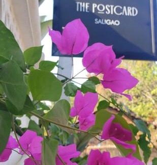 Saligao Hotel | The Postcard Saligao