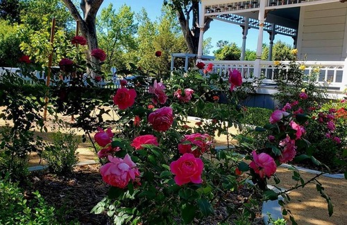 Winters House | The Queen On Main