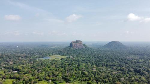Sigiriya Cabin | The rock & wild sigiriya