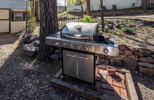 Ruidoso Cabin | The Roost Downtown