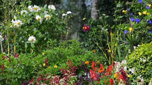 Virarajendrapet House | The School Estate in 100 Acres