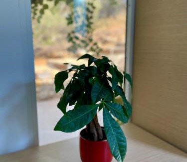 Hersonissos Centre Cabin | The Secret Nest