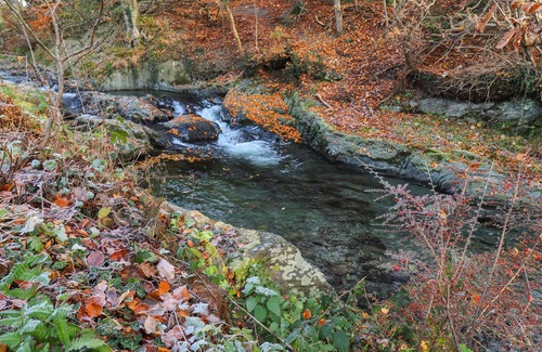 Machynlleth Cabin | THE STABLES, romantic, character holiday cottage in Machynlleth