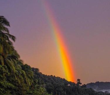 Dominical Villa | The Surf Journey Casita