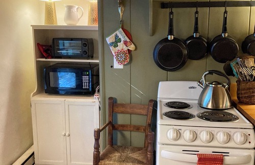 Warm Springs House | The Tannery! Private Dipping Pool In The Warm Springs Stream! Pet Friendly!