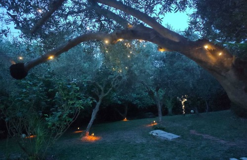 Palombina Nuova House | THE TERRACE OF NEGRITA