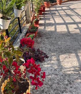Lansdowne House | The Umri Lansdowne, 4-bedroom homestay