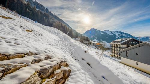 Chatel Apartment | The View - Apt 09 - BO Immobilier- Châtel - remises sur les forfaits de skis Châtel ou Portes du soleil