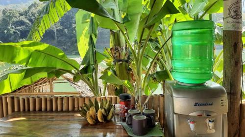 Nong Khiaw Villa | The View Nong Khiaw Guesthouse