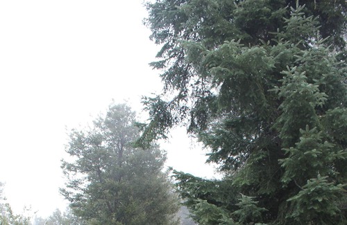 Pauma Valley Cabin | The Weekender Cabin